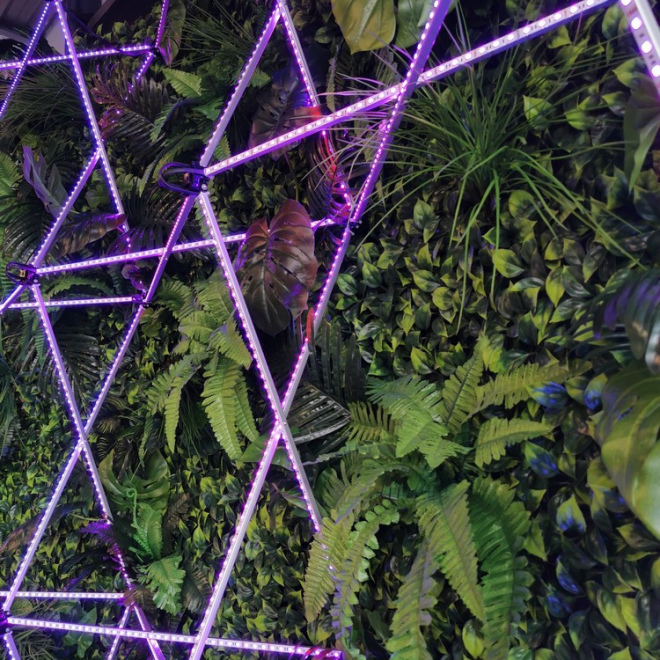 LED фотозона