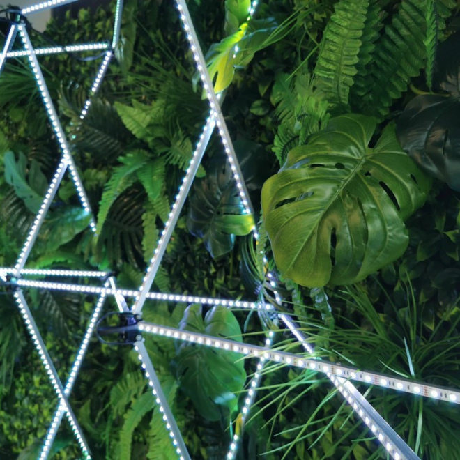 LED фотозона