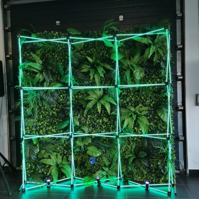 LED фотозона