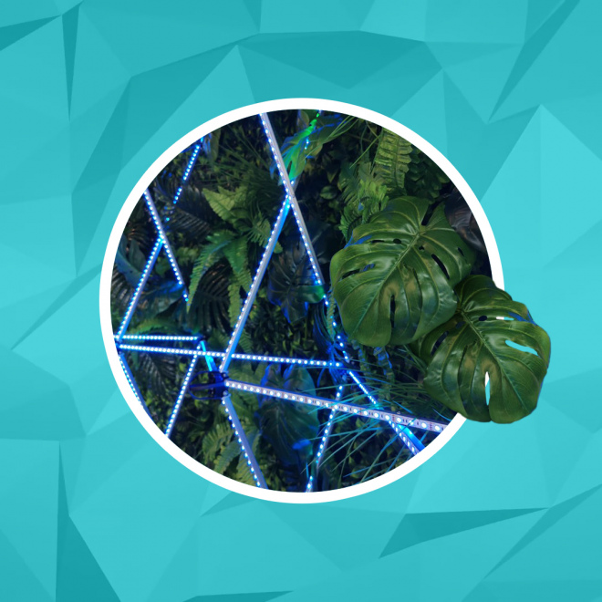 Тропическая фотозона