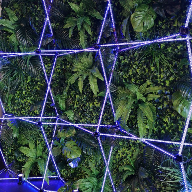 LED фотозона