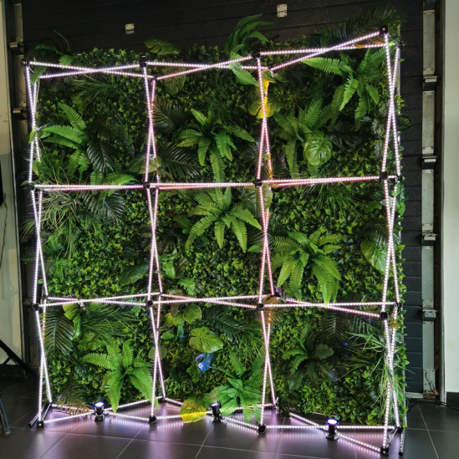 LED фотозона